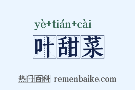 叶甜菜是什么意思的图片